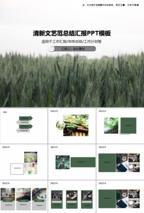 清新文艺范总结汇报PPT模板